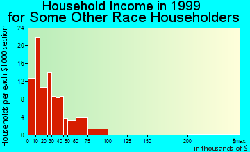 Grand Junction household income for some other race householders