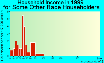 Hudson household income for some other race householders