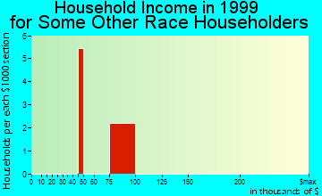 Idaho Springs household income for some other race householders