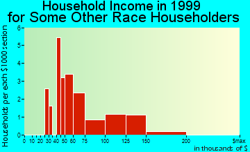 Ken Caryl household income for some other race householders