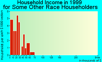 Las Animas household income for some other race householders