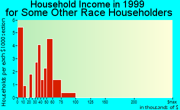 Leadville household income for some other race householders