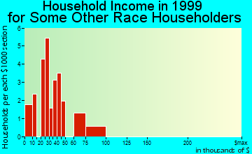 Leadville North household income for some other race householders
