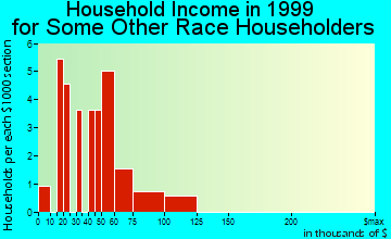 Minturn household income for some other race householders