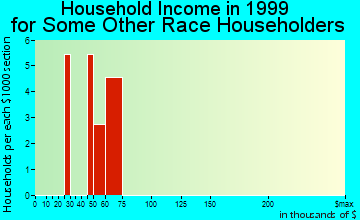 Monument household income for some other race householders