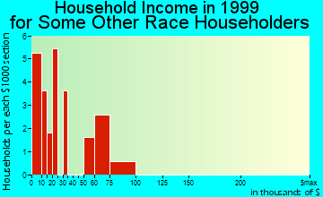 Salida household income for some other race householders