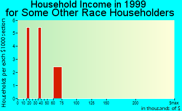 Snowmass Village household income for some other race householders
