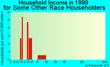 Vail household income for some other race householders