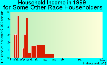 Windsor household income for some other race householders