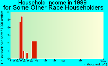 Bethel household income for some other race householders