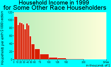 Bridgeport household income for some other race householders