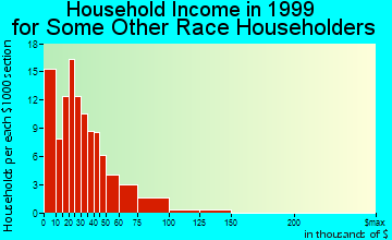 New London household income for some other race householders