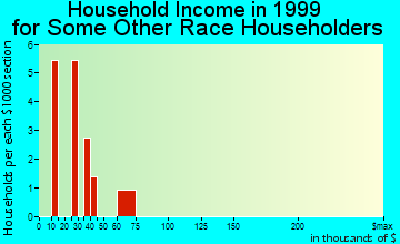 Newport household income for some other race householders
