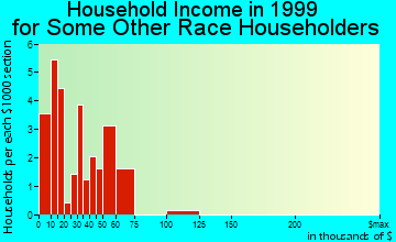 Avon Park household income for some other race householders