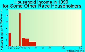 Bayonet Point household income for some other race householders
