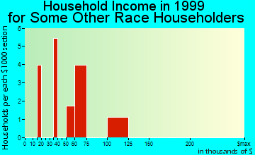 Biscayne Park household income for some other race householders