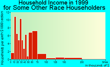 Boynton Beach household income for some other race householders
