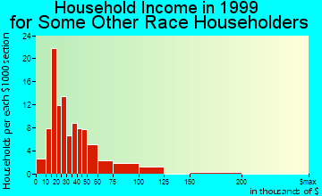Bradenton household income for some other race householders