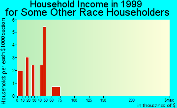 Dunedin household income for some other race householders
