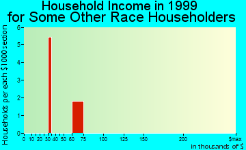 Fanning Springs household income for some other race householders