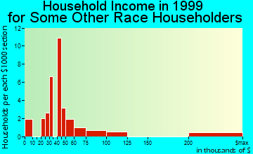 Forest City household income for some other race householders