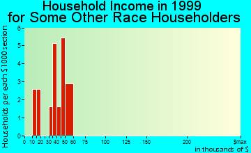Fort Myers Shores household income for some other race householders
