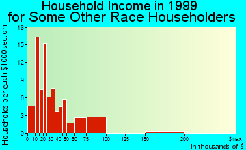Fort Pierce household income for some other race householders