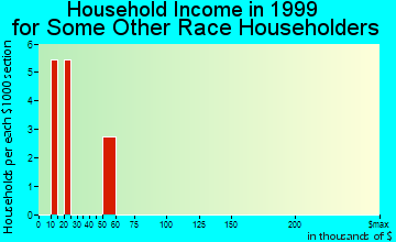 Hamptons at Boca Raton household income for some other race householders