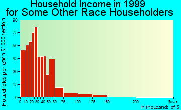Hialeah household income for some other race householders
