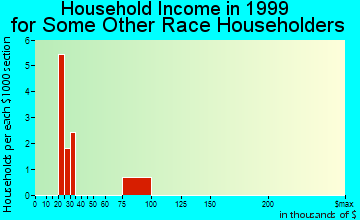 Phenix City household income for some other race householders