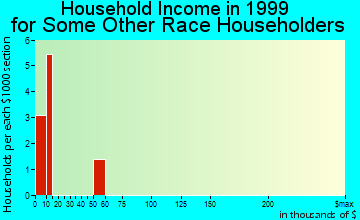 Hudson household income for some other race householders