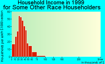 Kissimmee household income for some other race householders