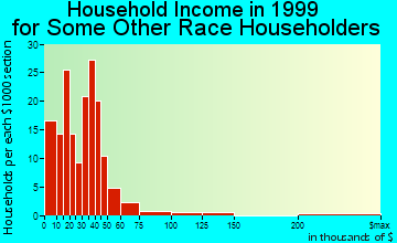 Lake Worth household income for some other race householders