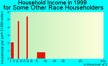 Prattville household income for some other race householders
