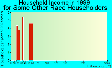 Minneola household income for some other race householders