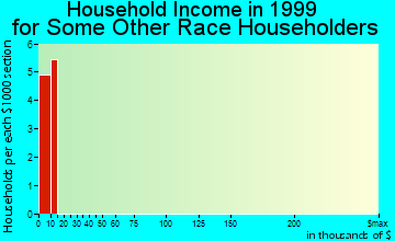 New Port Richey East household income for some other race householders