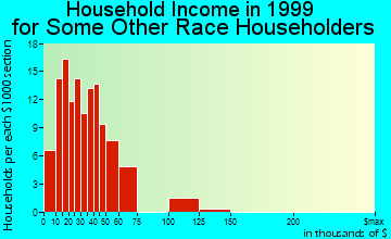 Palm Bay household income for some other race householders