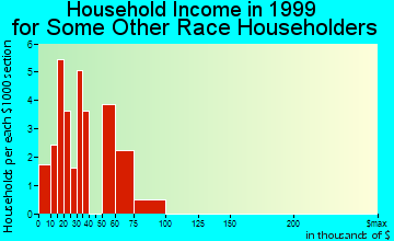 Palm Springs household income for some other race householders