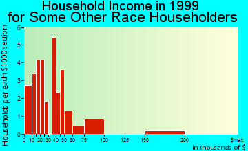 Port Charlotte household income for some other race householders