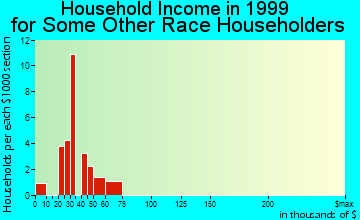 Riviera Beach household income for some other race householders