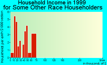 Sebring household income for some other race householders
