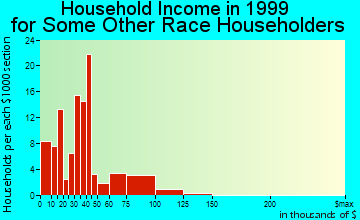 South Miami Heights household income for some other race householders