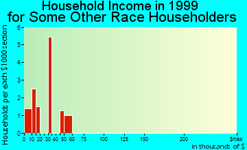 Tavares household income for some other race householders