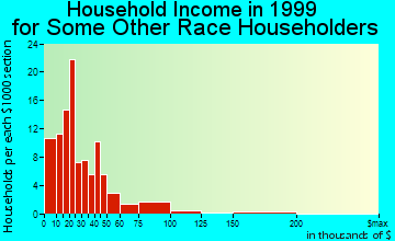 Birmingham household income for some other race householders