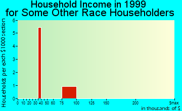 White City household income for some other race householders