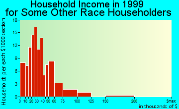Athens-Clarke County household income for some other race householders