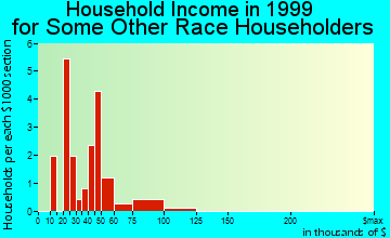 Auburn household income for some other race householders