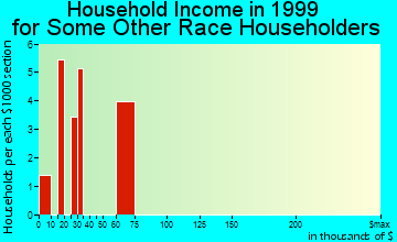 Smiths household income for some other race householders