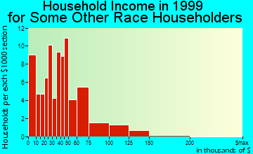 Chamblee household income for some other race householders