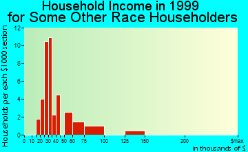 Duluth household income for some other race householders